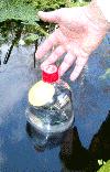 bottle floating
