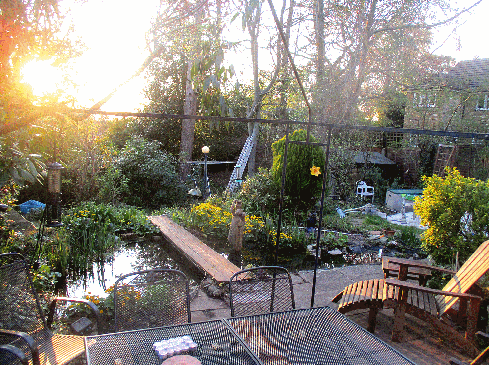 Robin & June's garden