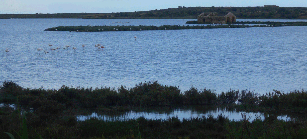  Holiday in Sicily in May 2019 with Robin and June Lovelock 