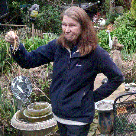 June and Spaghetti Tree