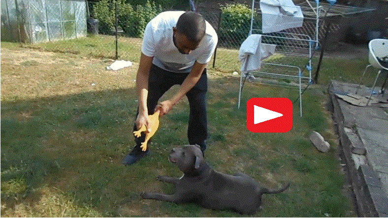 Ajay with Prinz and squeaky chicken