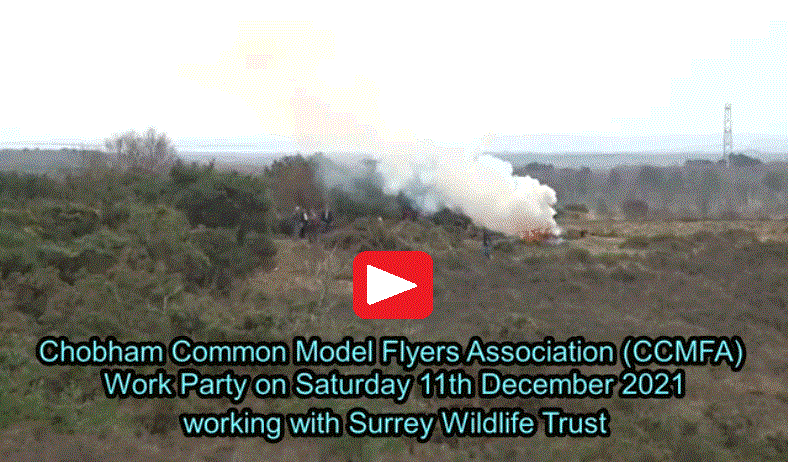 Work on Chobham Common with Surrey Wildlife Trust and CCMFA