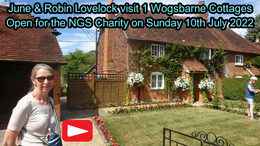 NGS Garden video